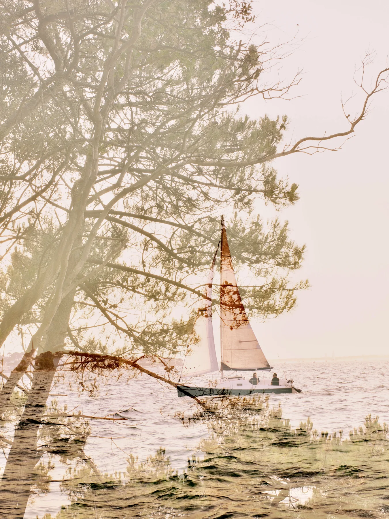 Bassin d'Arcachon