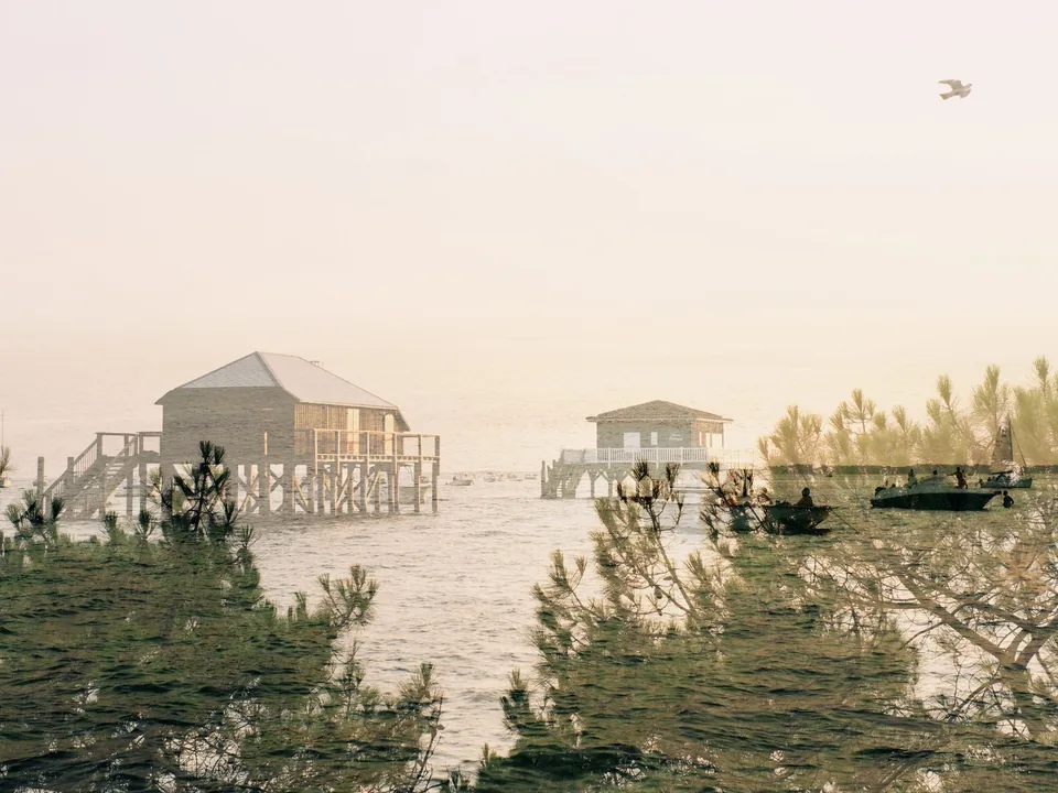 L'Île aux Oiseaux, double exposure by Capucine Frecciani, Bassin d'Arcachon series