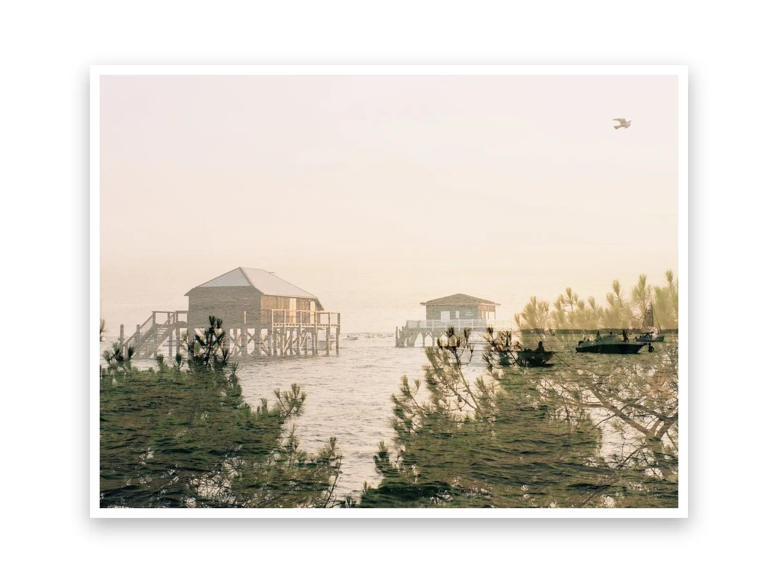 L'Île aux Oiseaux, le tirage sur papier
