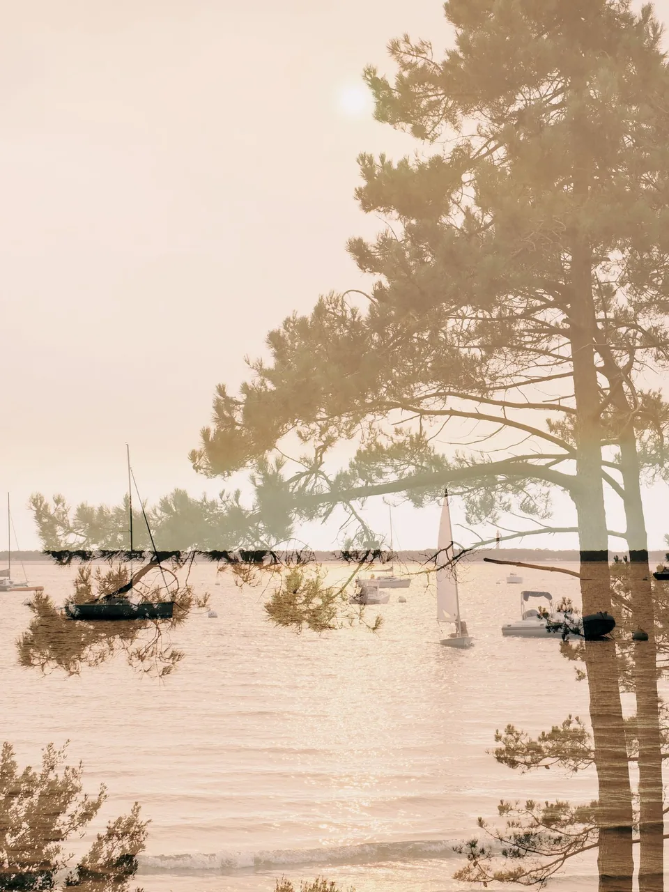 Le Moulleau, double exposure by Capucine Frecciani, Bassin d'Arcachon series