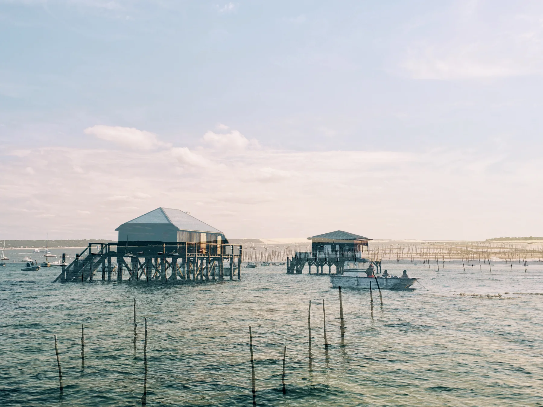 Petit Piquey, double exposure by Capucine Frecciani, Bassin d'Arcachon series