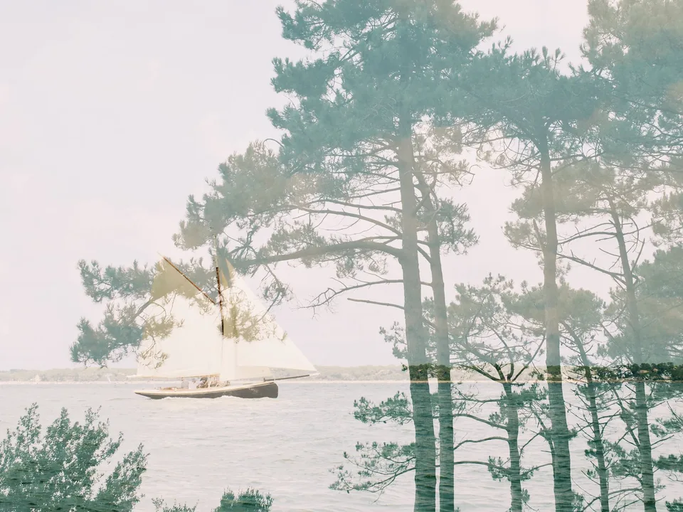Pinède, double exposure by Capucine Frecciani, Bassin d'Arcachon series