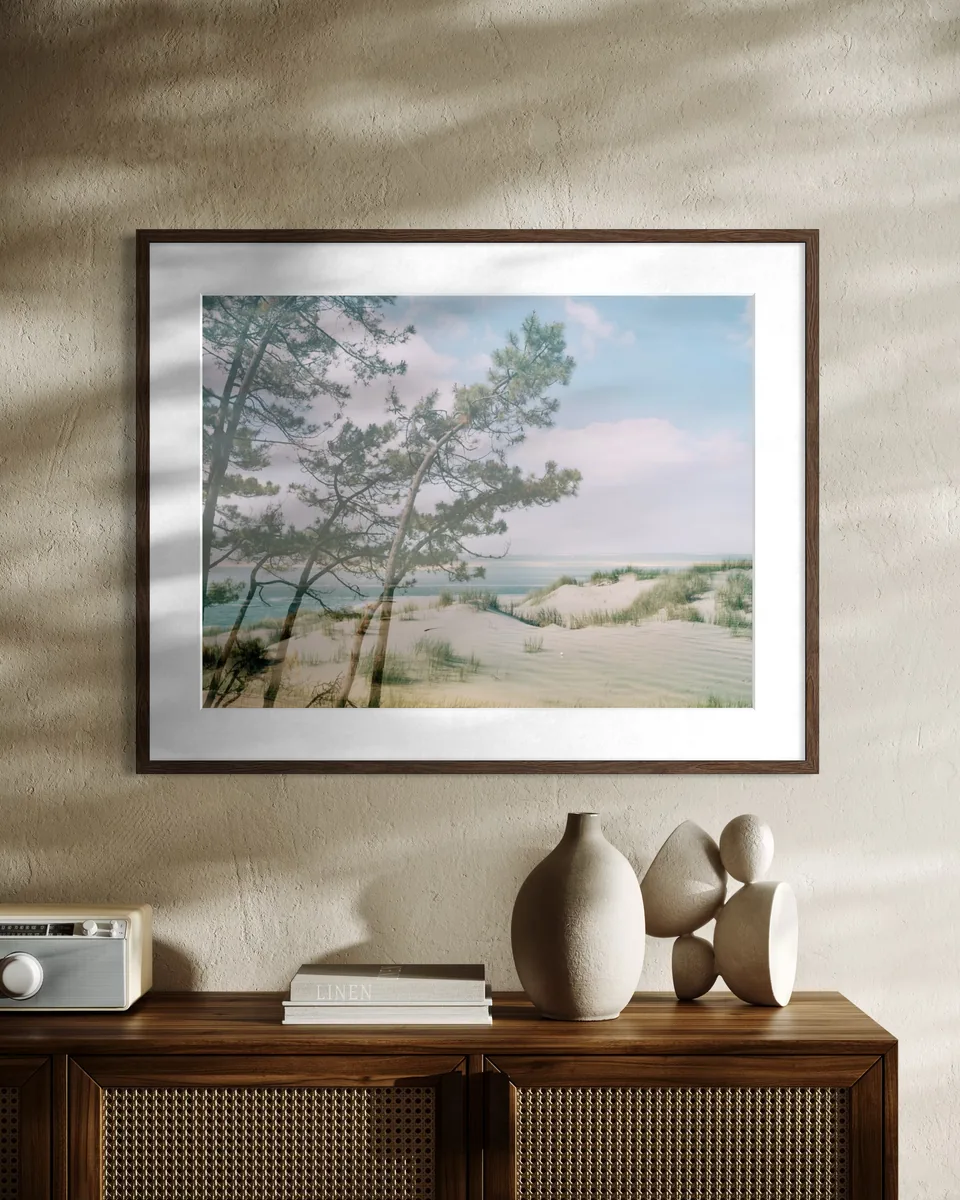 Pins et dune, room view