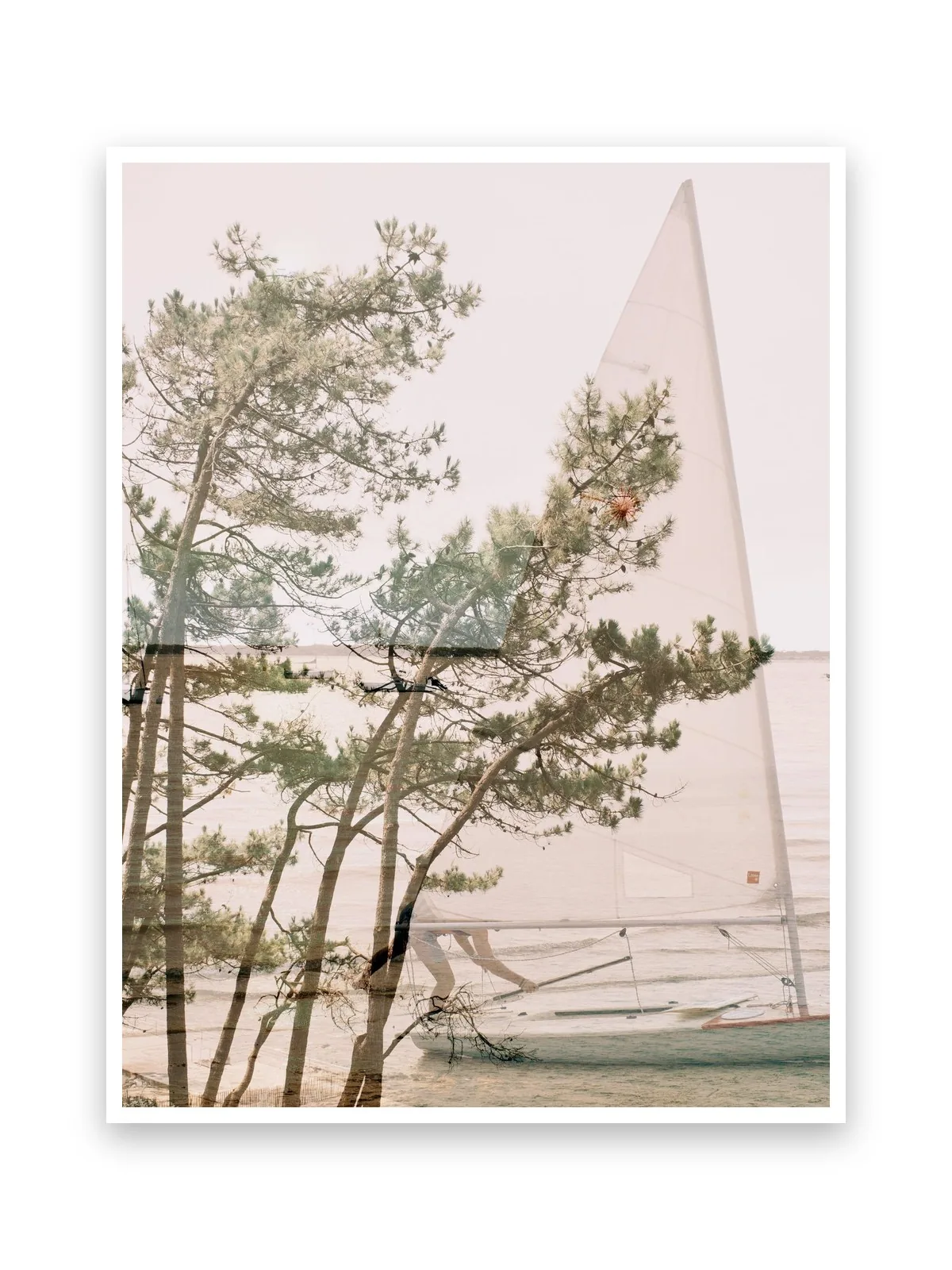La Voile, le tirage sur papier