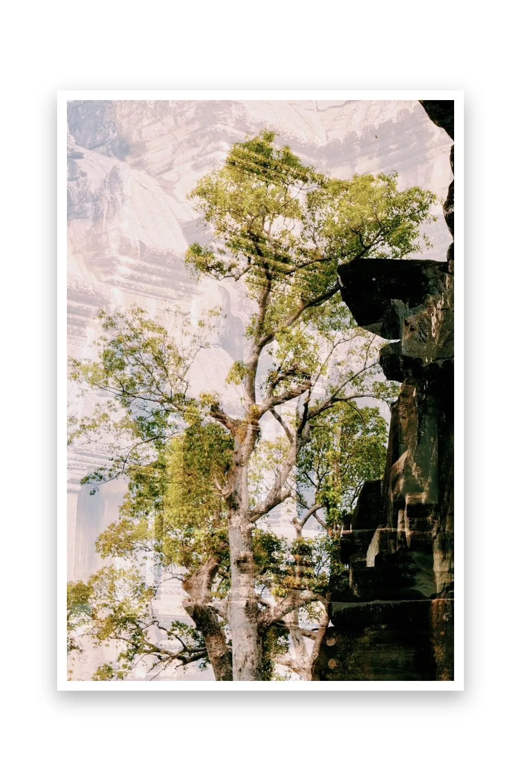 L'arbre et le temple, the paper print