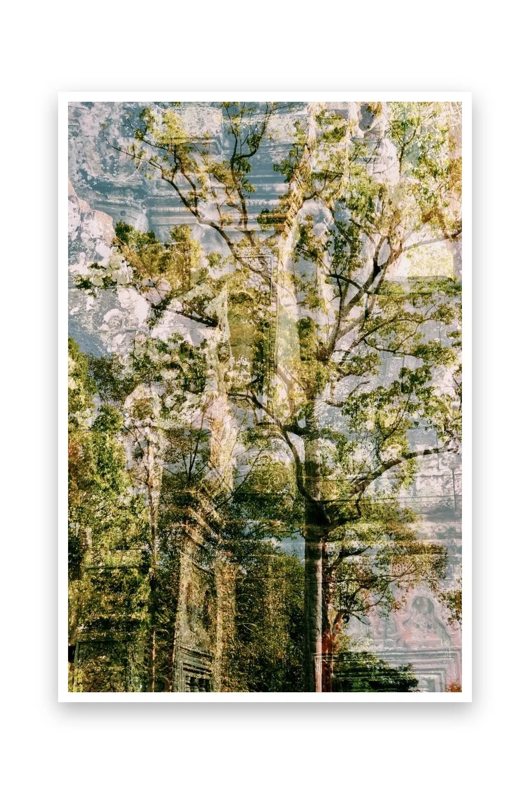 Les Arbres, le tirage sur papier