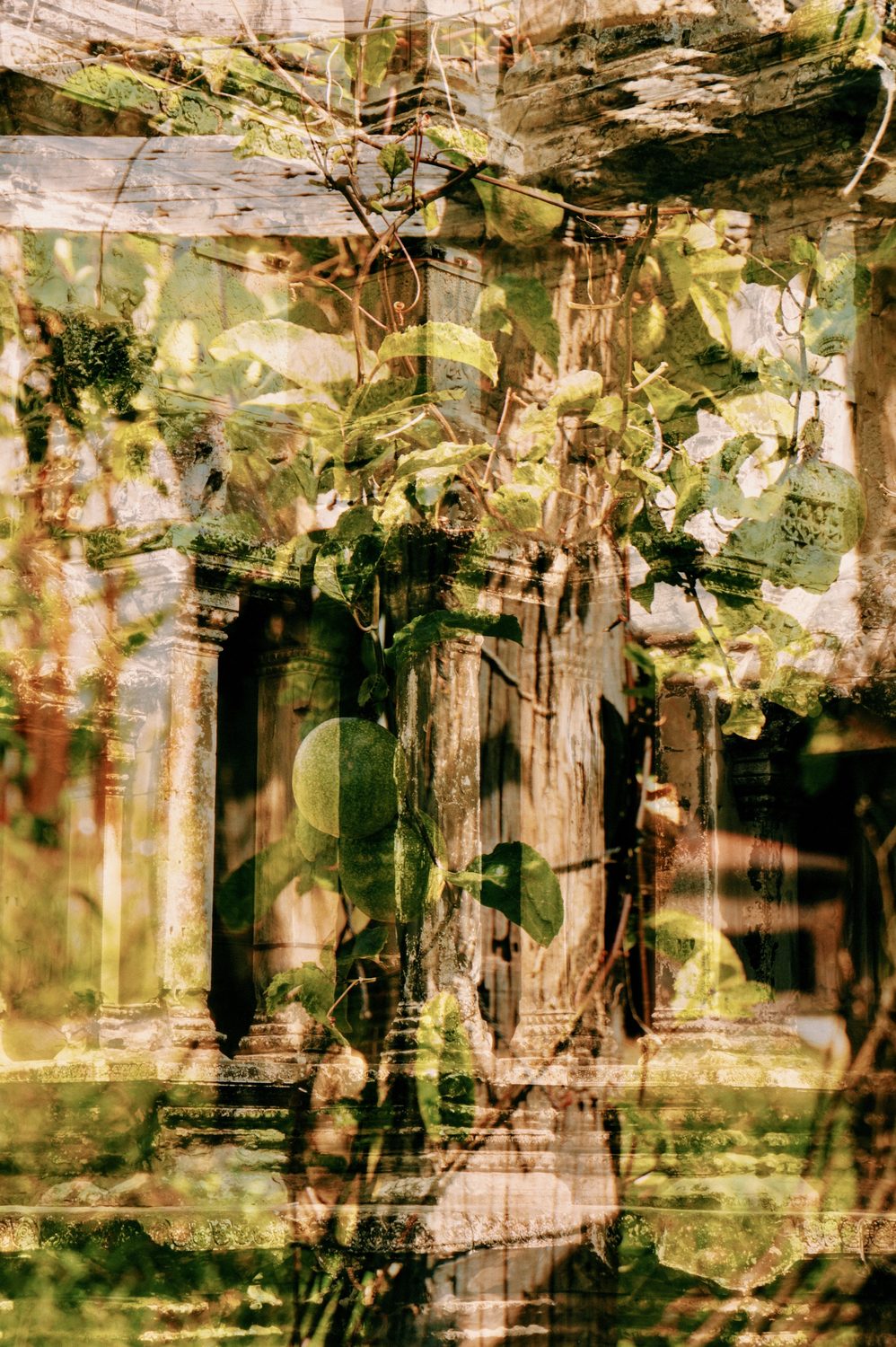 Double exposition — photographie d'art de Capucine Frecciani