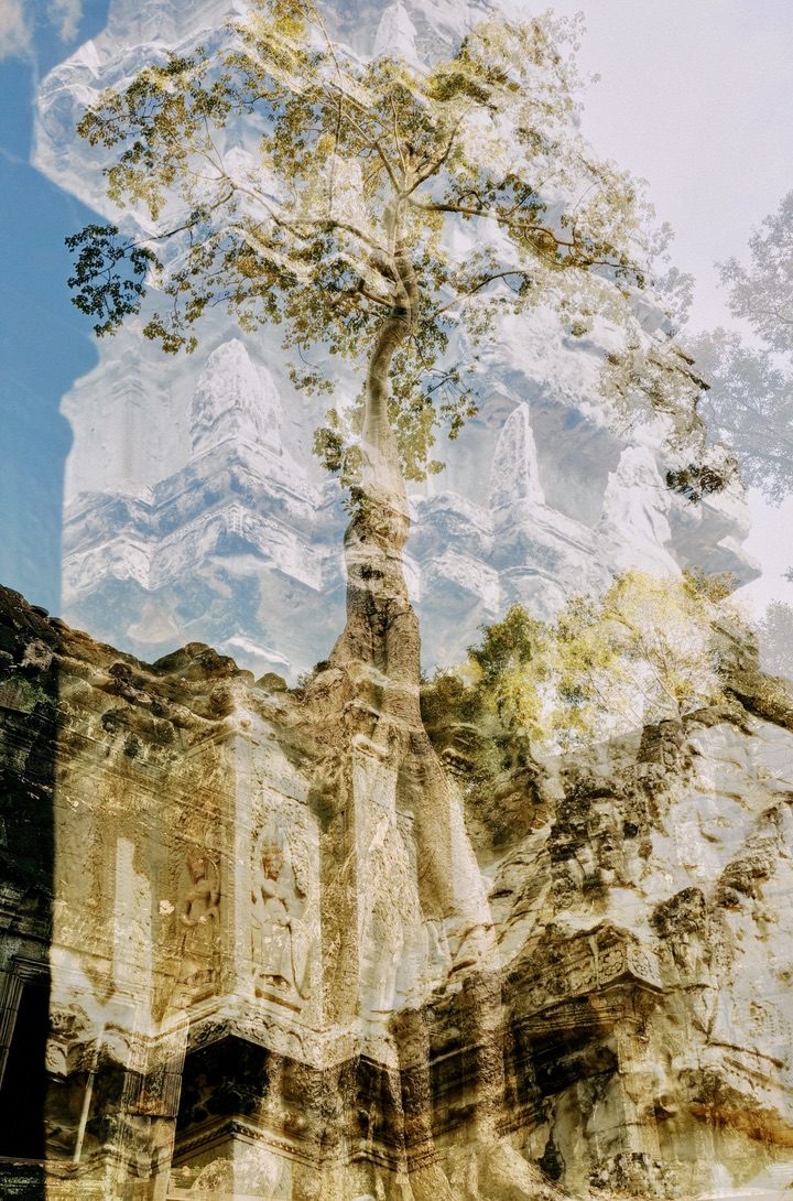 Double exposition — photographie d'art de Capucine Frecciani