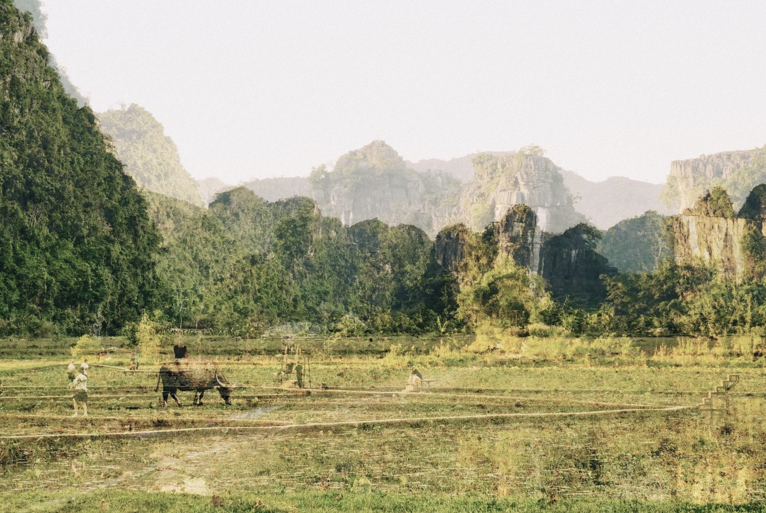 Double exposition — photographie d'art de Capucine Frecciani