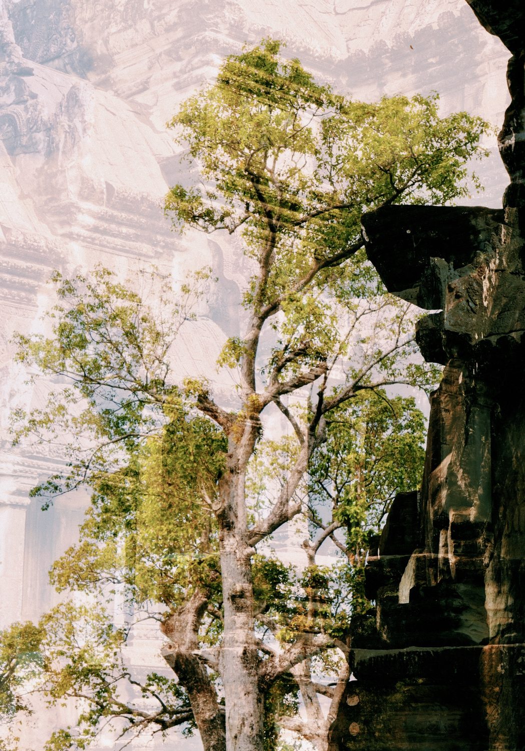 Double exposition — photographie d'art de Capucine Frecciani